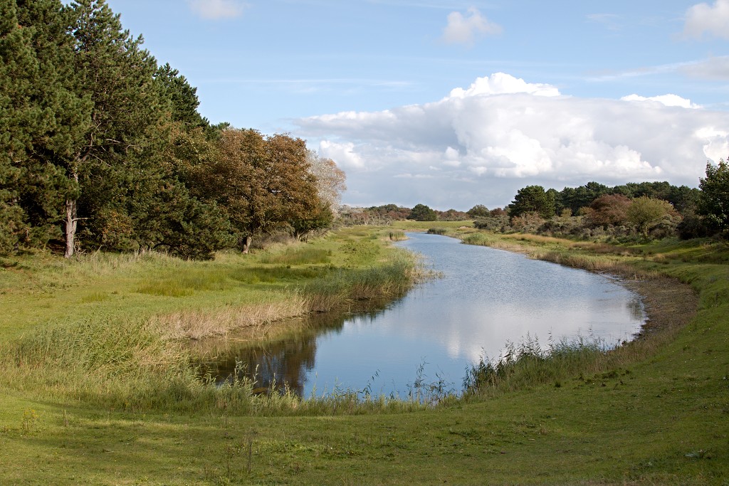 AWD Amsterdamse Waterleidingduinen natuurgebied polder bos vos hert herten damhert duinen zandvoort waterwingebied
